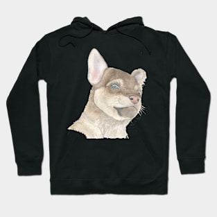 Chihuahua Hoodie